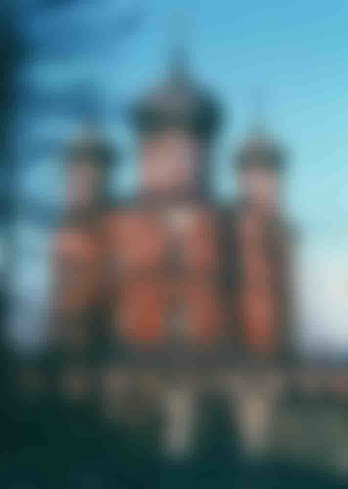 Донський монастир, Москва
